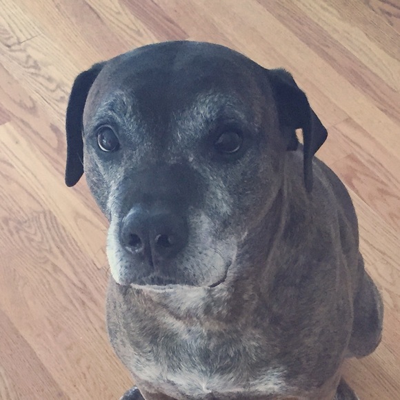 Meet your Posher, Steven - Picture 1 of 1